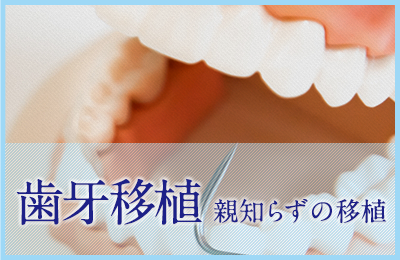 歯牙移植 親知らずの移植